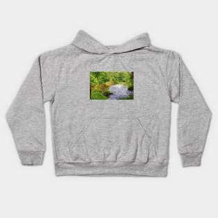 Almond Weir Kids Hoodie